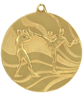 medaille kickboksen