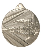karate medaille.-p2